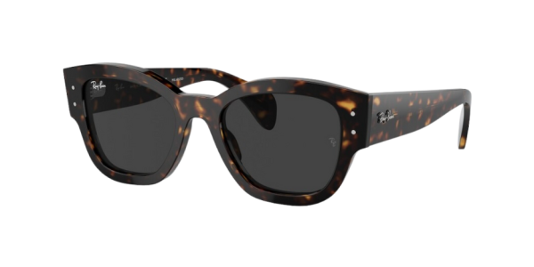 Ray Ban 0RB7681S 902
