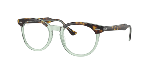 Ray Ban 0RX5598 8249