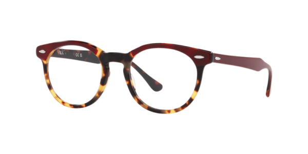Ray Ban 0RX5598 8250