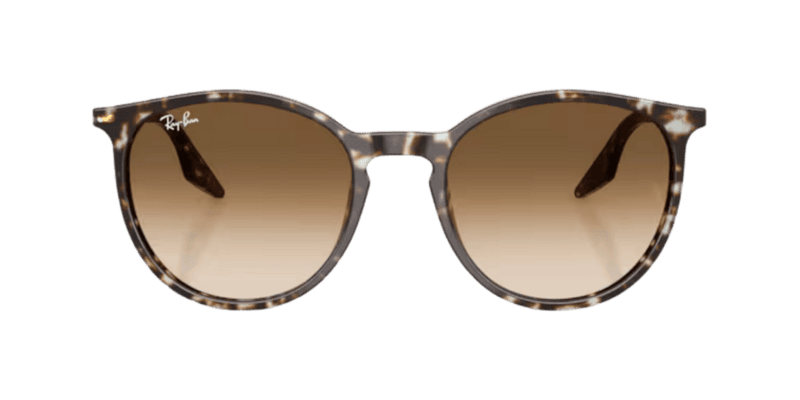Ray Ban 0RB2204 1431551 - Image 2